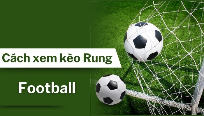 Kèo rung là gì - Tìm hiểu sâu về hình thức cược hấp dẫn trong thể thao Kèo rung là gì - Tìm hiểu sâu về hình thức cược hấp dẫn trong thể thao