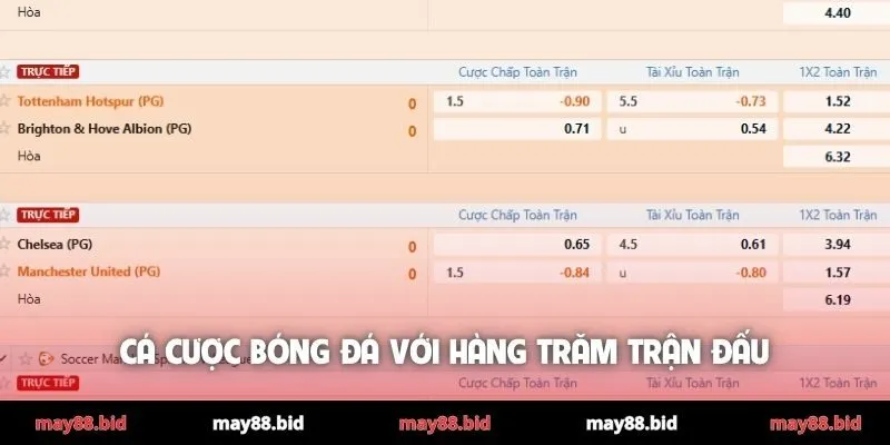 Cá cược bóng đá với hàng trăm trận đấu