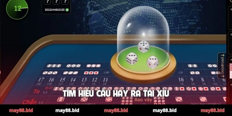 Tìm hiểu cầu hay ra Tài Xỉu
